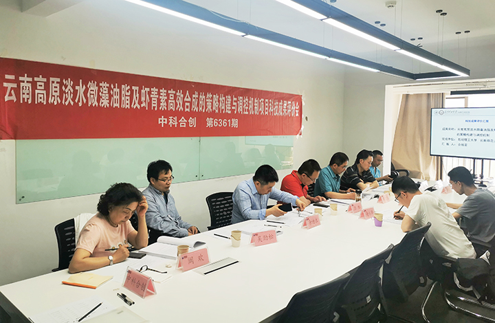 云南高原淡水微藻油脂及虾青素高效合成策略的调控机制 anli.jpg